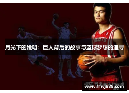 月光下的姚明：巨人背后的故事与篮球梦想的追寻